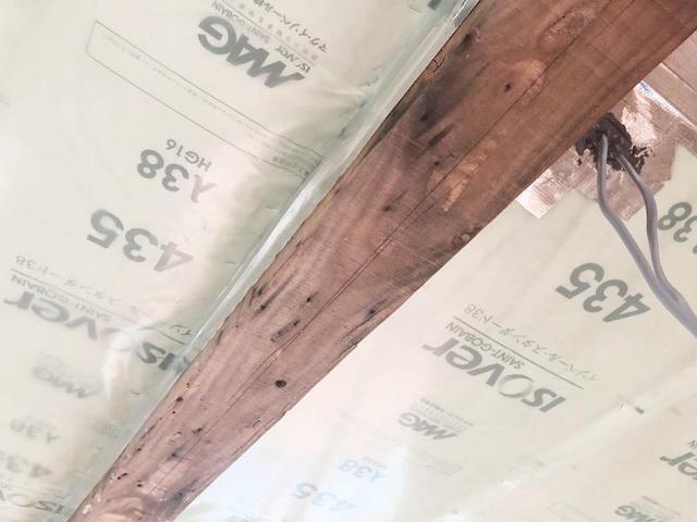 �ʐ^ 2021-09-09 8 28 15.jpg