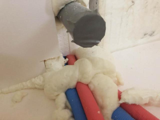 �ʐ^ 2021-10-01 8 54 23.jpg