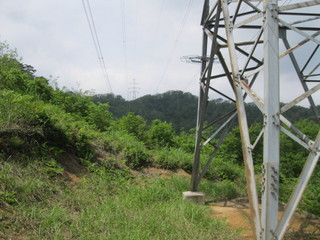 IMG_1160.JPG