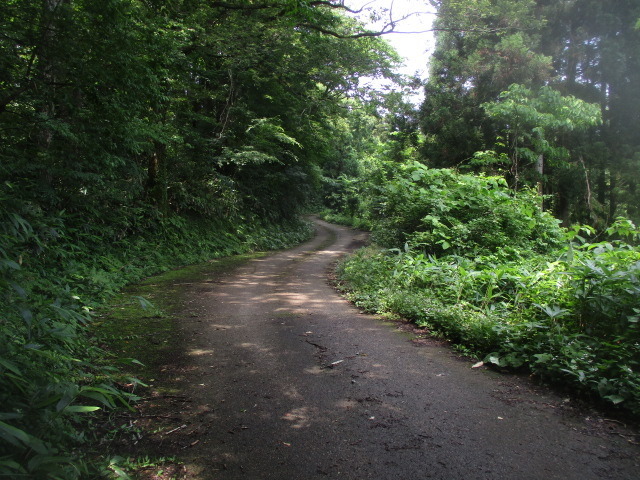 IMG_2762.JPG