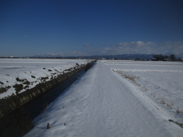 IMG_3743.JPG