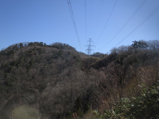 IMG_4003.JPG