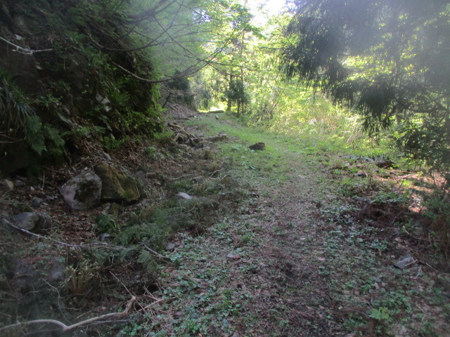 IMG_4176.JPG