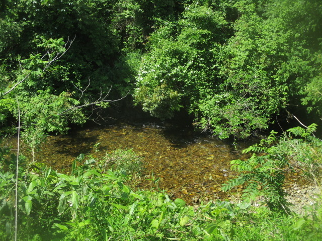 IMG_4388.JPG