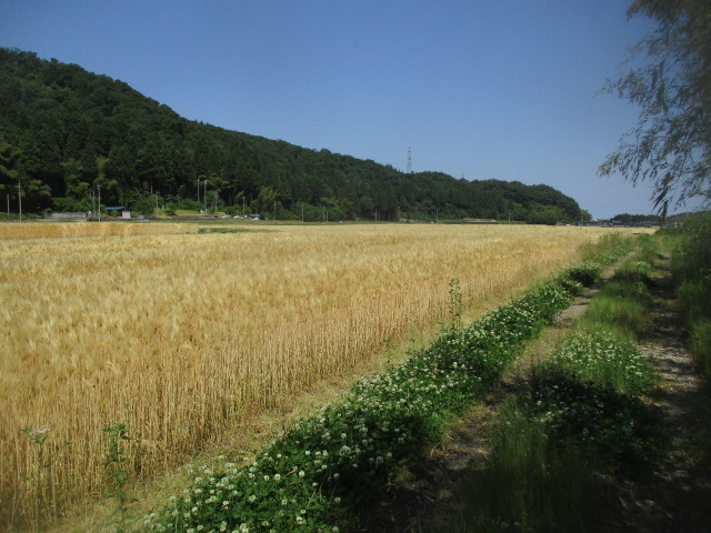 IMG_4394.JPG