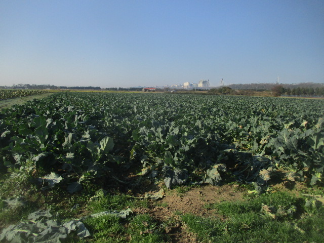 IMG_4918.JPG