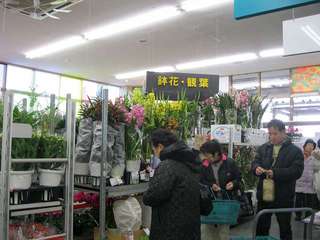 IMG_6238.jpg