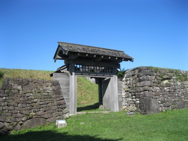 IMG_7407.jpg